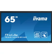 Iiyama To Be Updated