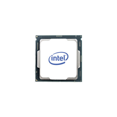 Intel Boxed Xeon E-2336 Processor 12M Cache 2,90 GHz FC-LGA14A BX80708E2336